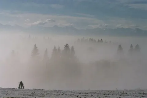 pokryte mgłą...