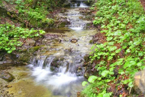 Za Bramką 2