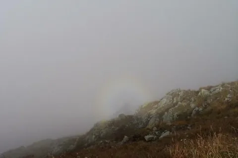 Spotkanie z widmem