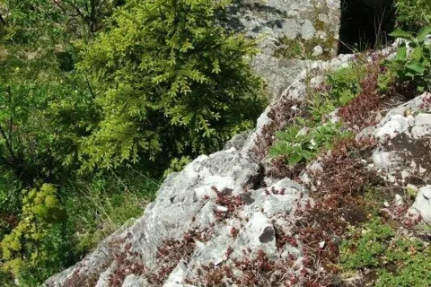 Liptovsky hrad