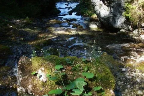 v dolinke Vyvieranie III