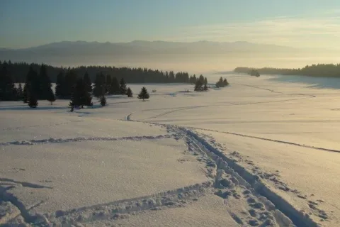 Laniste Krivy potok Vrsky Zahrada Nizne vrchy Nizke Tatry