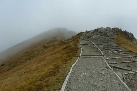 Zagadka