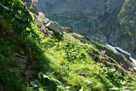 Pod Bolou pod Rysami