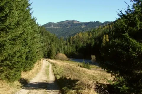 Holica znad Borovianky
