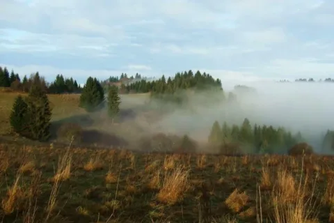 Mlada hora