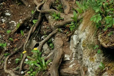 Pod Ihrikom