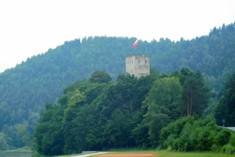 Wytrzyszczka