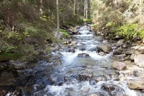 potok Roztoka