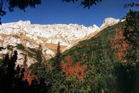 Impresja gory