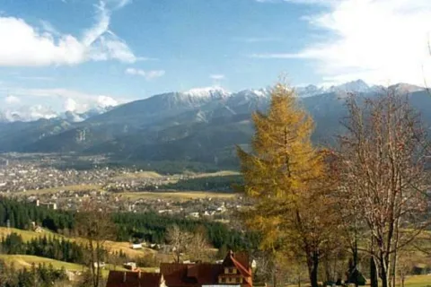 Dziedzina