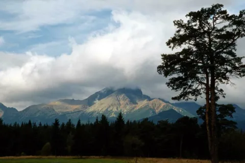 Widok o poranku