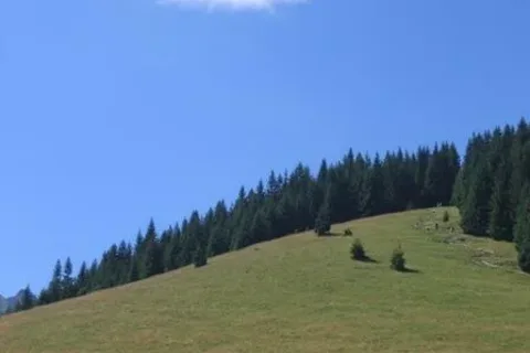 Schodki ku Gęsiej Szyi