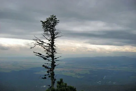 Samotność