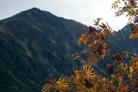 \'Żółta Turnia\'