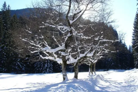 Martwa natura :-)