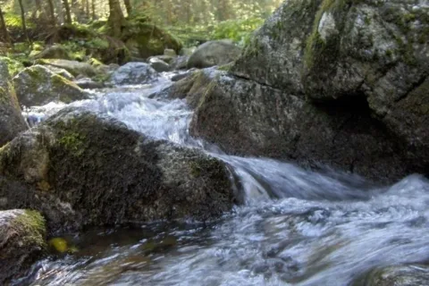 Potok w dol. Jaworzynki