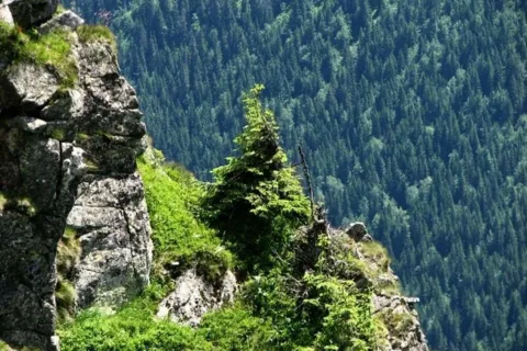 Tatrzańskie 3D