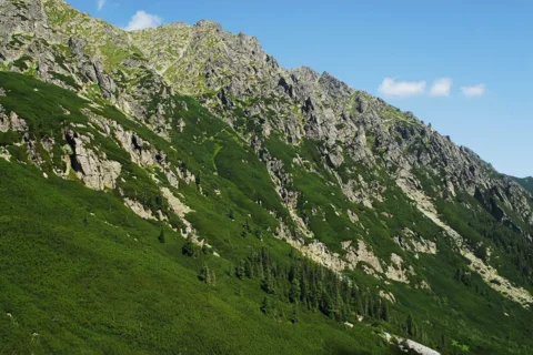 Wołoszyn