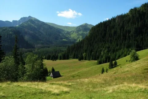 Urok Polany Kalatówki