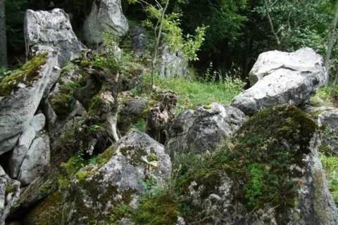 Na Rakytine