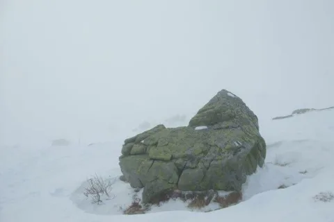 v Ziarskej doline