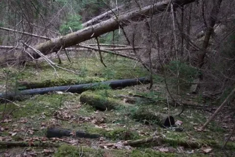 Cierny Vah - Benkovo