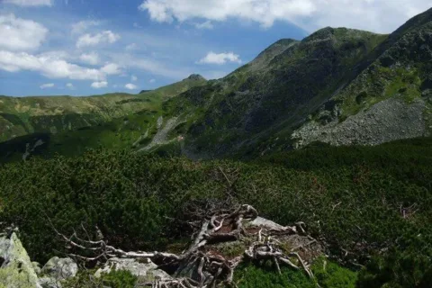 Lukova kotlina Konske _Zadny Konsky grun Kralov stol