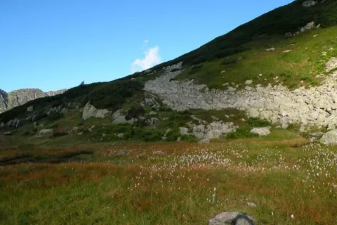 PRZYRODA GÓRSKA