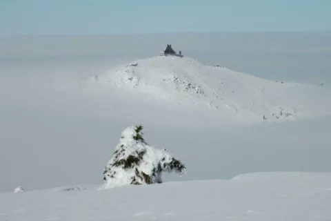 SZRENICA