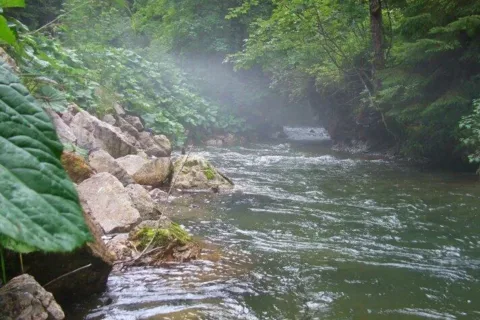 Stiavnica pod Stanisovou
