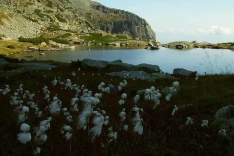 Pleso nad Skokom