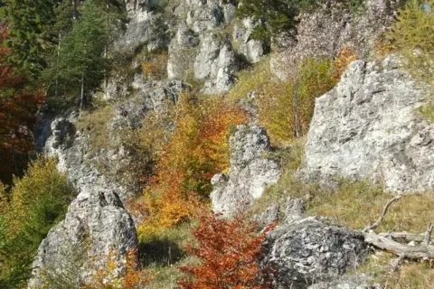 Opaliska - Setisko_Selnice
