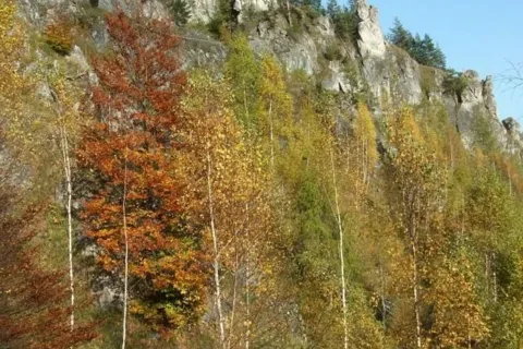 Opaliska - Setisko_Selnice