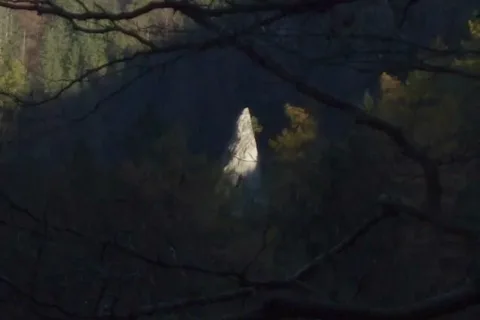 Kvacianska ihla Kvacianska dolina