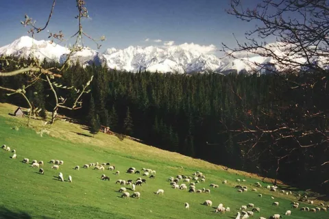 Tatry Bielskie i Wysokie z Głodówki