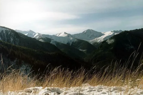 Wierchy nad Doliną Chochołowską
