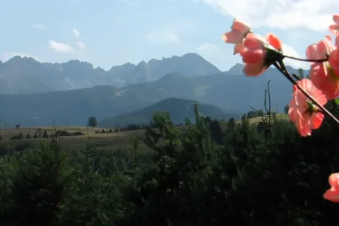 Panorama Tatr z Harendy (2)