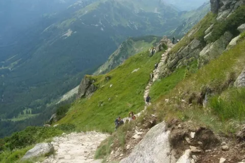 Pod Goryczkową Czubą