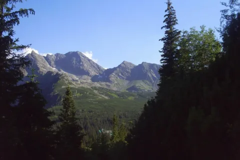 Murowaniec