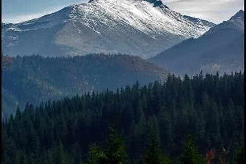 Jesienią