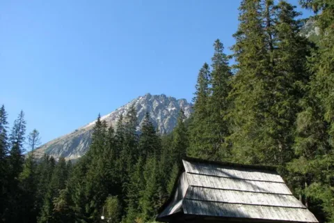 Dolina Roztoki