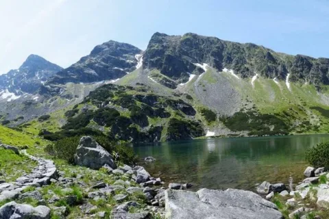 Zielony Staw
