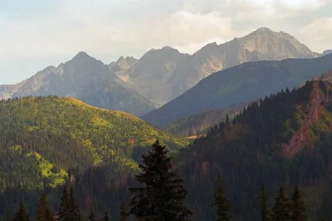 Widok na Tatry z Rusinowej Polany