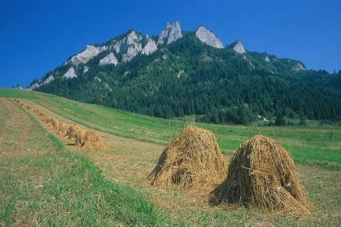 Trzy Korony