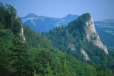 Sokolica