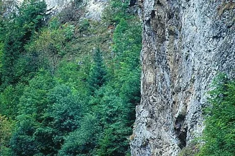 Skały