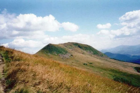 Tarnica