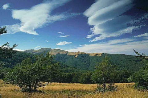 Pod Bukowym Berdem