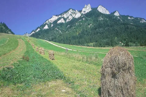 Trzy Korony